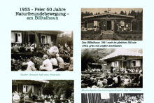 Die 1950er und 1960er Jahre